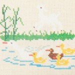 Kruissteekvogels - eenden