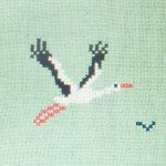 Kruissteekvogels - ooievaars