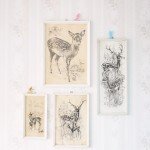 Deer - Lief Geval