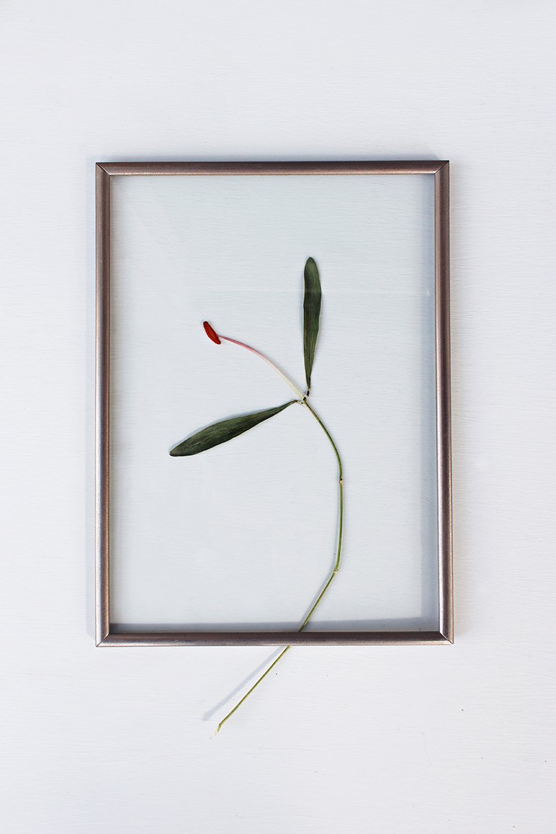 studio lab71 - frieda mellema - oh marie