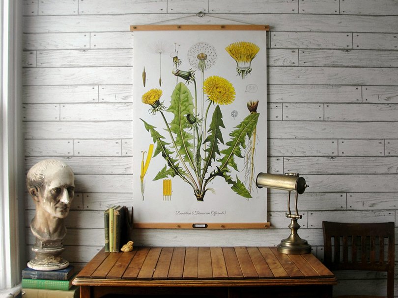 Dandelion Botanical Chart - GrittyCityGoods on Etsy
