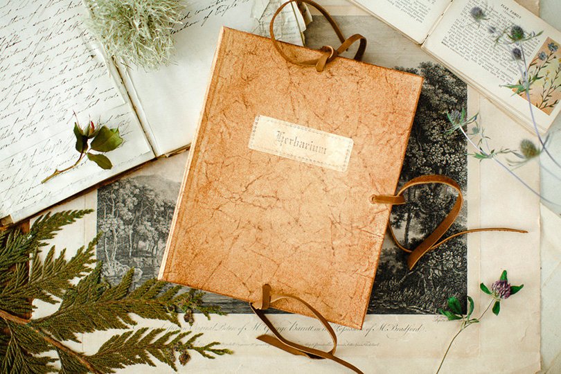 Herbarium Guide - talesofthewild on Etsy