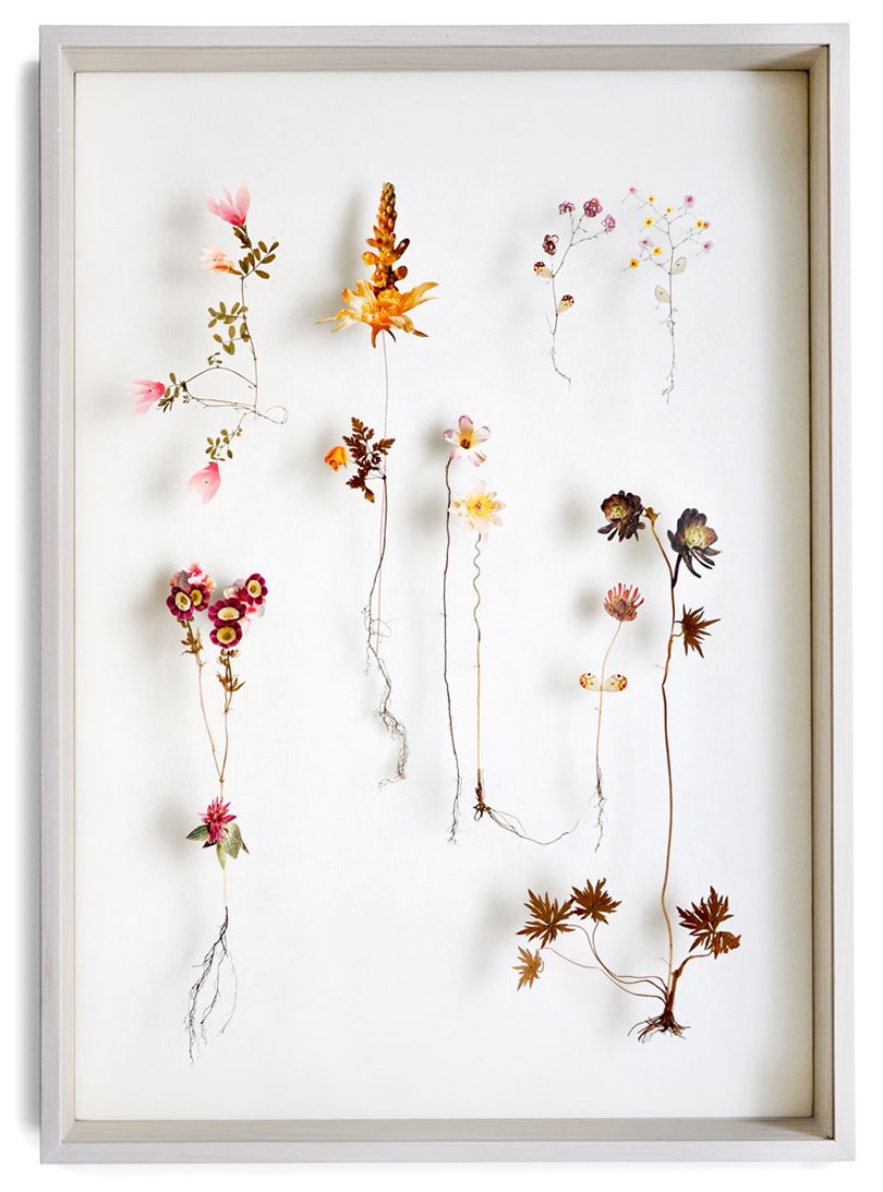 Anne ten Donkelaar flower constructions15