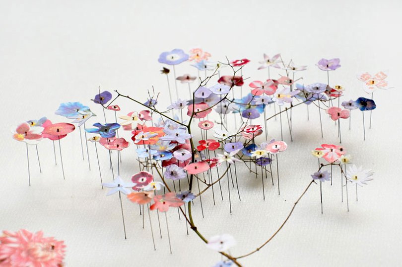 Anne ten Donkelaar flower constructions21