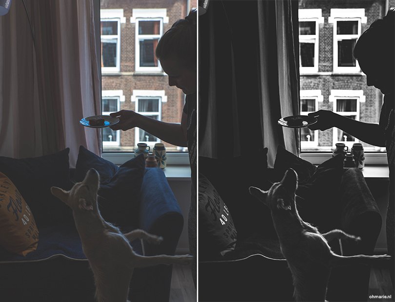 Zwart-wit fotografie - Oh Marie!