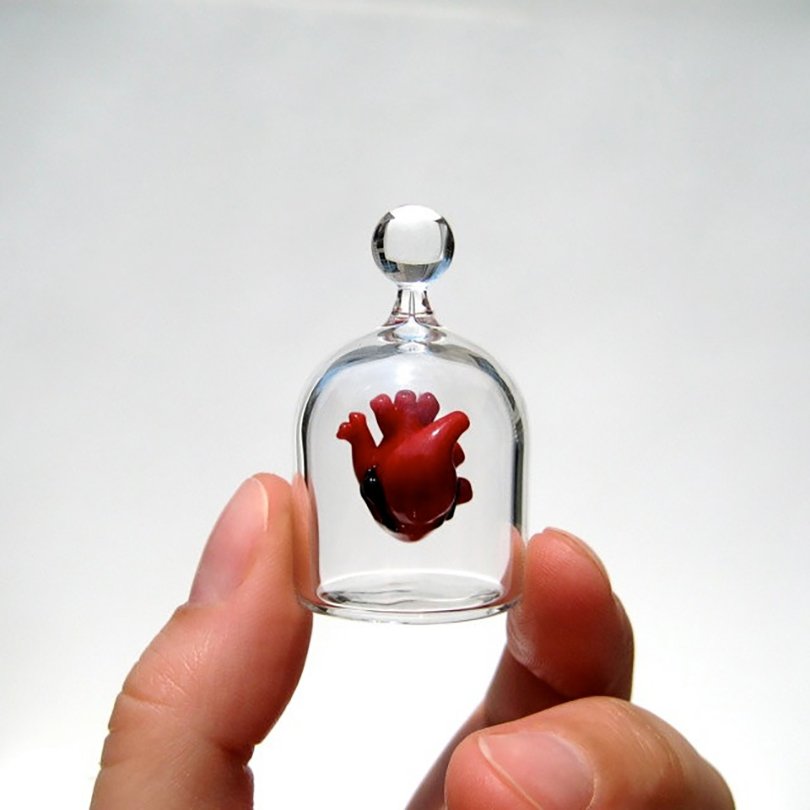 anatomical heart in a jar - kivaford on etsy