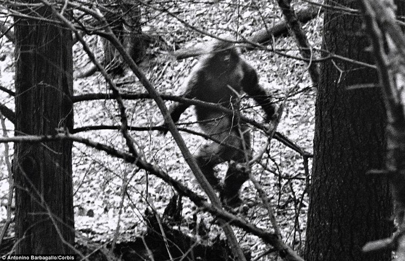 bigfoot2